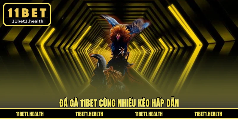 Đá gà 11BET cùng nhiều kèo hấp dẫn