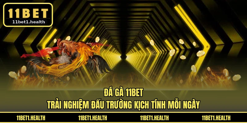 Đá Gà 11BET - Trải Nghiệm Đấu Trường Kịch Tính Mỗi Ngày