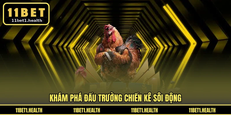 Khám phá đấu trường chiến kê sôi động