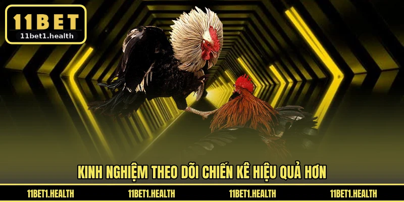 Kinh nghiệm theo dõi chiến kê hiệu quả hơn