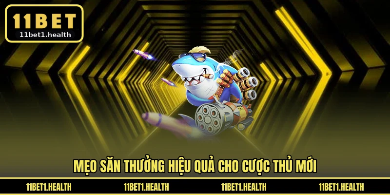 Mẹo săn thưởng hiệu quả cho cược thủ mới