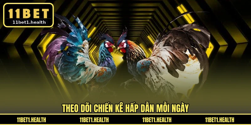 Theo dõi chiến kê hấp dẫn mỗi ngày